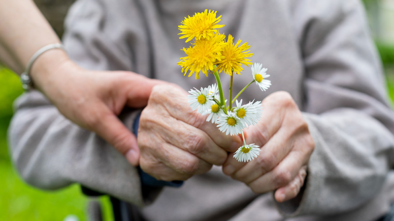 Vivre avec une maladie neurodégénérative : les sites utiles | solidarites.gouv.fr
