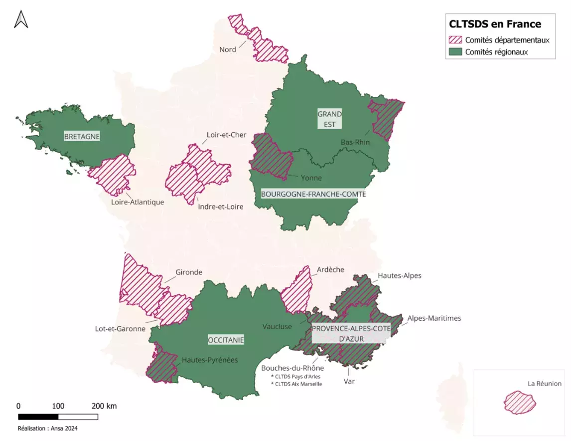 Carte réseau des CLTSDS