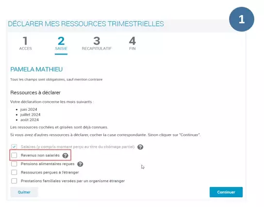 Etape numéro 1 - sélectionner "revenus non salariés